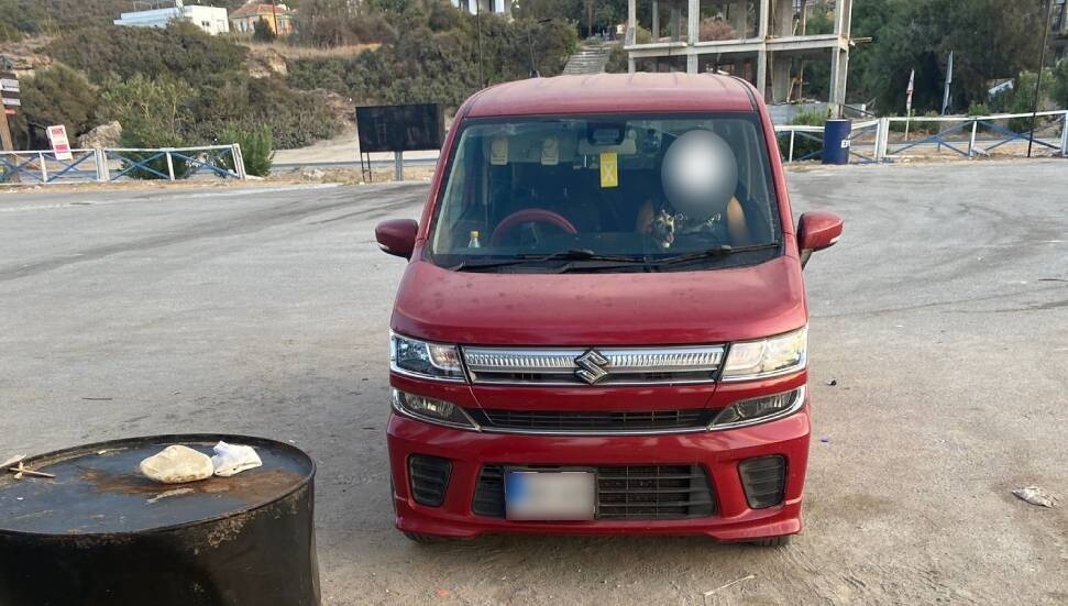 Kaplumbağa yavrularını umursamadı, köpeklerini sahile getirdi: Polise şikayet edildi