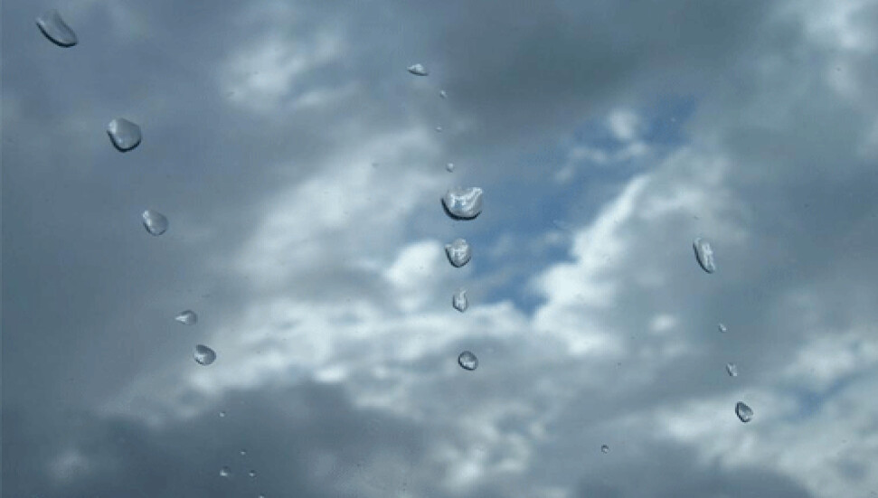 Güney'den toplam yağış miktarı ile ilgili veriler