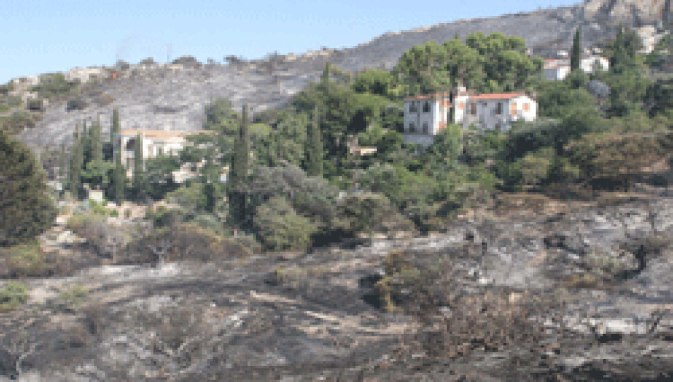 Kayalar bölgesindeki yangında 300 dönümlük ormanlık alan kül oldu...