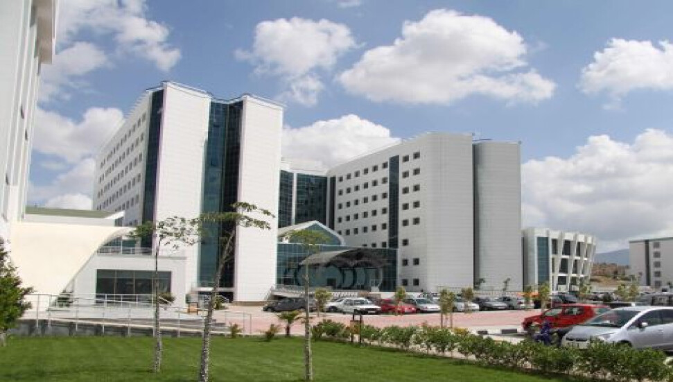 Böbrek hastaliklarini biyopsi ile farketmek mümkün