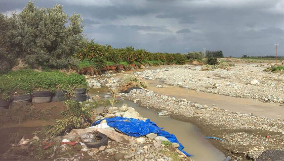 Yüzlerce ağaç yerle bir oldu!