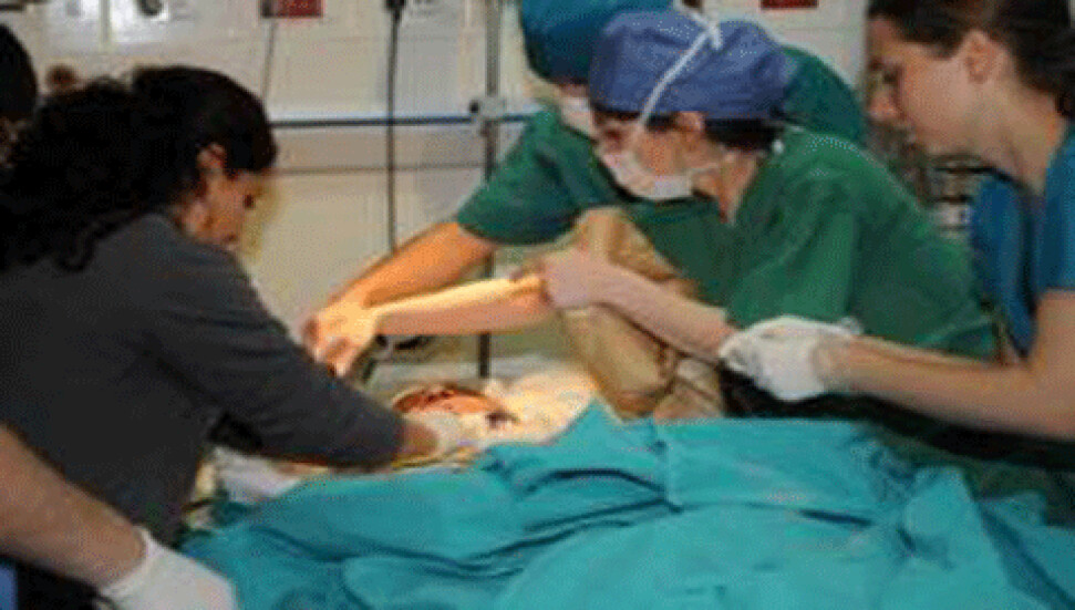 Türkiye'nin ilk yüz nakli ameliyatı tamamlandı