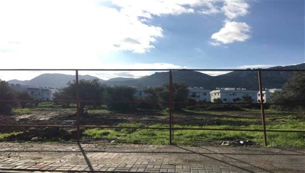 Kıbrıs Postası ihbar etti, zeytin ağacı kesim izni olmayan inşaat durduruldu