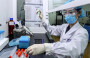 First Hantavirus Infection Could Not Have Been During Cruise: Who Expert