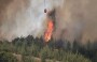 Race to Save Bordeaux as Wildfire Advances Towards French City