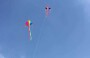 Israel Threats Over Kite-Flying ‘Outrageous’: UN