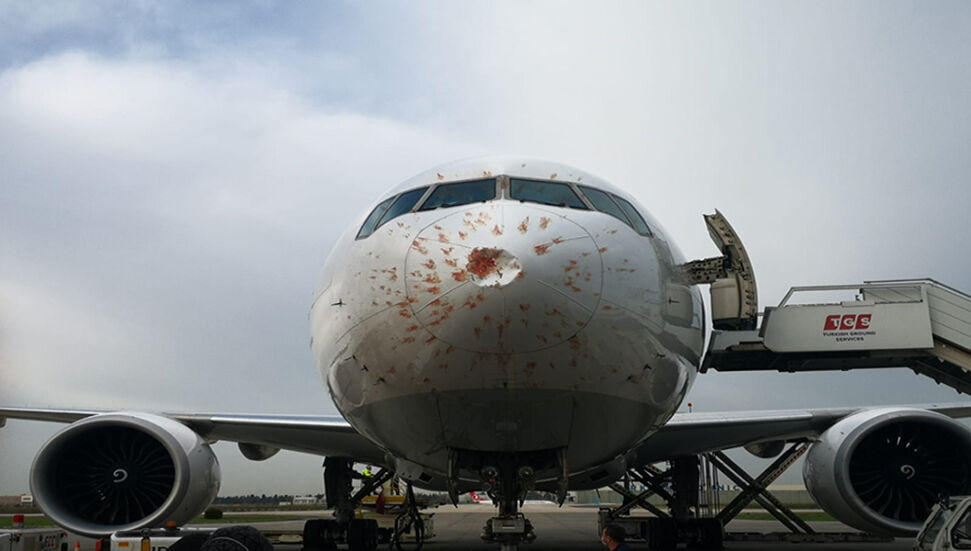 ΤΟ αεροπλάνο φορτίου που χτύπησε το κοπάδι των πτηνών έκανε αναγκαστική προσγείωση