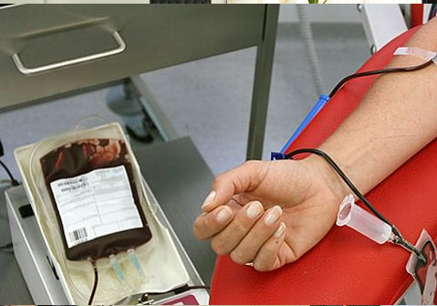 В Кипре стартовал совместный летний лагерь для пациентов с талассемией при участии турецких ассоциаций