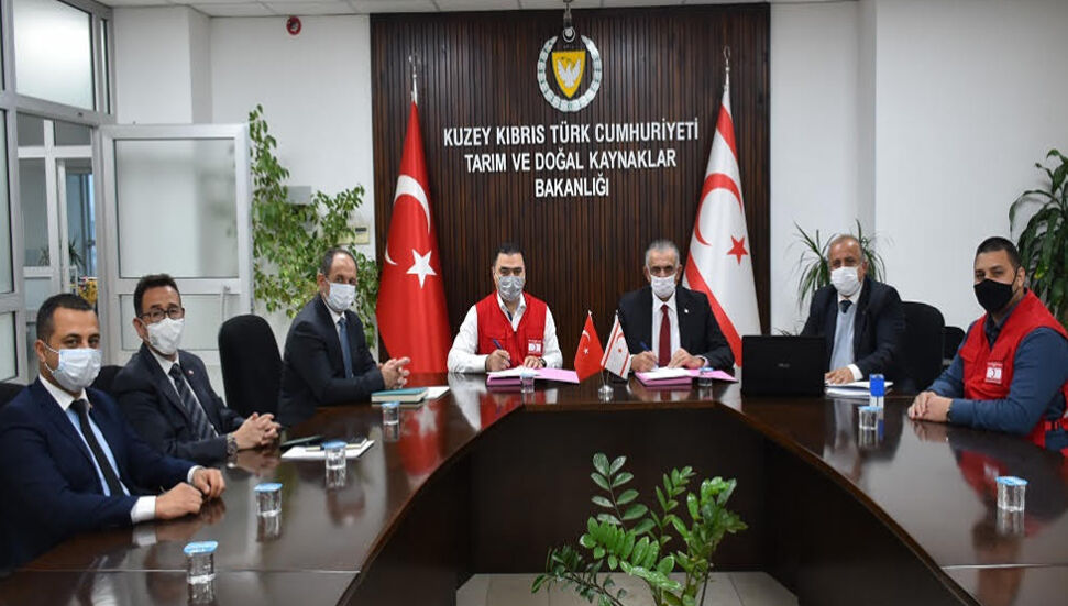 44 χιλιάδες δενδρύλλια θα φυτευτούν στην περιοχή Kalkanlı