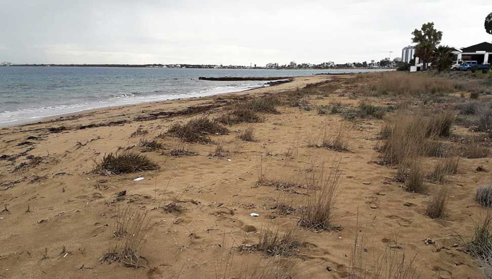 Εκτελέστε εκστρατεία καθαρισμού στις παραλίες Alevkayası και Onur Camping