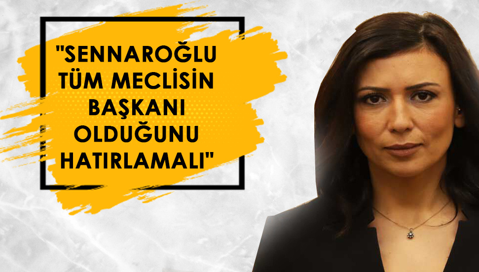 Fazilet Özdenefe: “Η κυβέρνηση δεν αναγνωρίζει το νόμο”