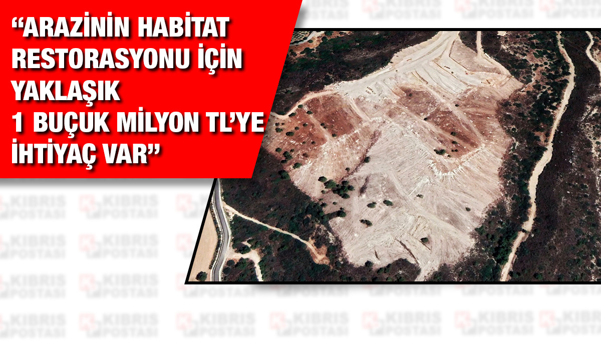 Site uğruna tahribata uğratılan ormanlık alan için ihtiyaç "sadece fi - Vimarsana News