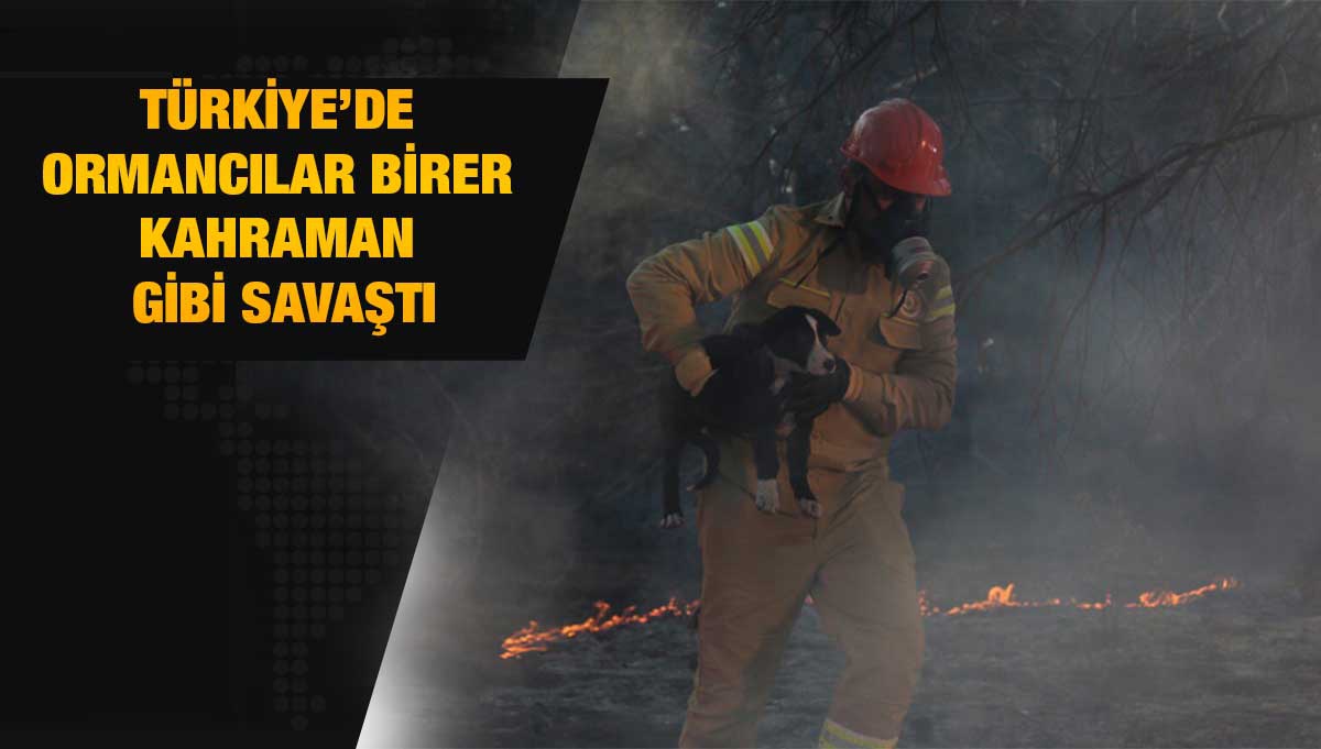 Türkiye'de iki bölge dışındaki tüm yangınlar kontrol altında - Vimarsana News