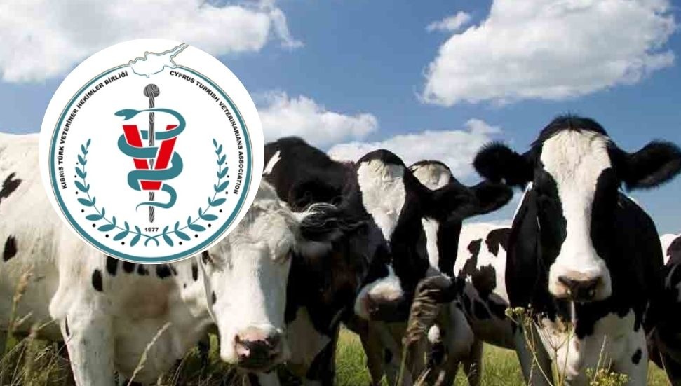 Kıbrıs Türk Veteriner Hekimler Birliği: Şap Hastalığı KKTC’de; halkın et ve süt tüketmesinde risk yok
