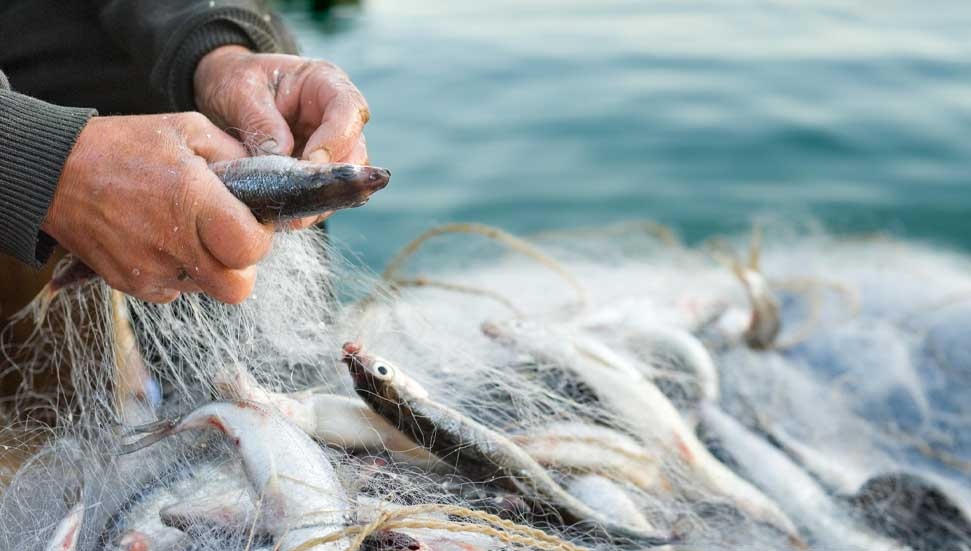 Tarım ve Doğal Kaynaklar Bakanlığı: Balıkçılık av malzemesi destek başvuruları 4 Mayıs’ta başlıyor