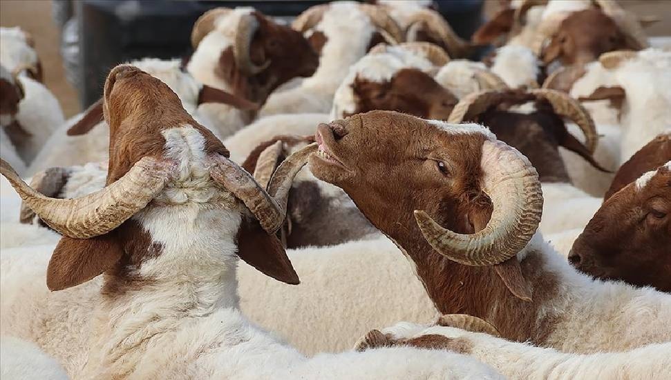 Kurban Bayramı'nın ikinci gününde ziyaretler ve bayramlaşmalar sürüyor