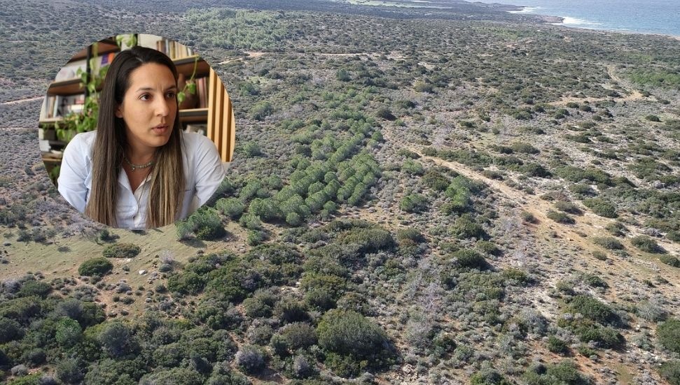 Feriha Tel: Adalet arayanlar komiteye çağrılmıyor, Meclis kimin adına yasa yapıyor?