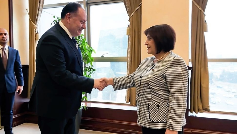 Ziya Öztürkler, Azerbaycan Milli Meclisi Başkanı Gafarova ile görüştü