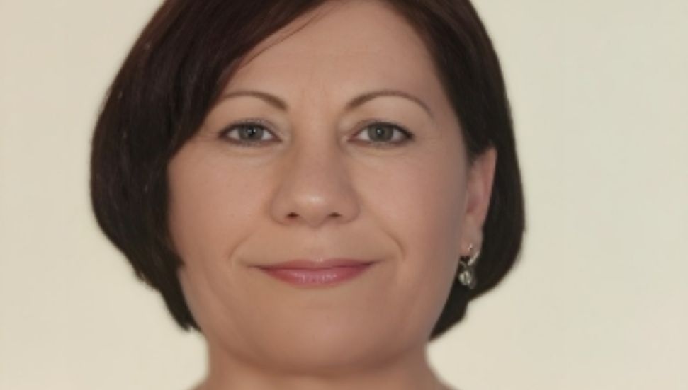 Ayşe İpçiler: Yasa tasarıları basına demeç verilerek 