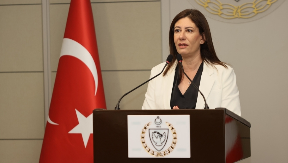 Sıla Usar İncirli: Mülkiyet meselesinin çözüm yeri bireysel davalar değil, siyasi çözüm sürecidir