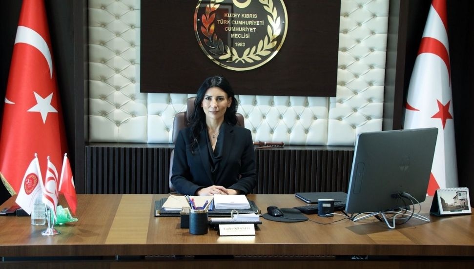 Fazilet Özdenefe: AP kararı Kıbrıs Türk halkının AP ve AB'ye güvenini olumsuz etkiledi