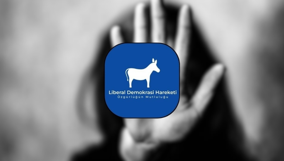 Liberal Demokrasi Hareketi:  Kadınlar ölmeden önce çalışan bir sistem istiyoruz