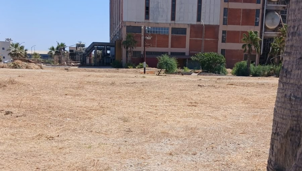 Kıb-Tek: İddialar gerçeği yansıtmıyor; Teknecik'te ot temizliği devam ediyor
