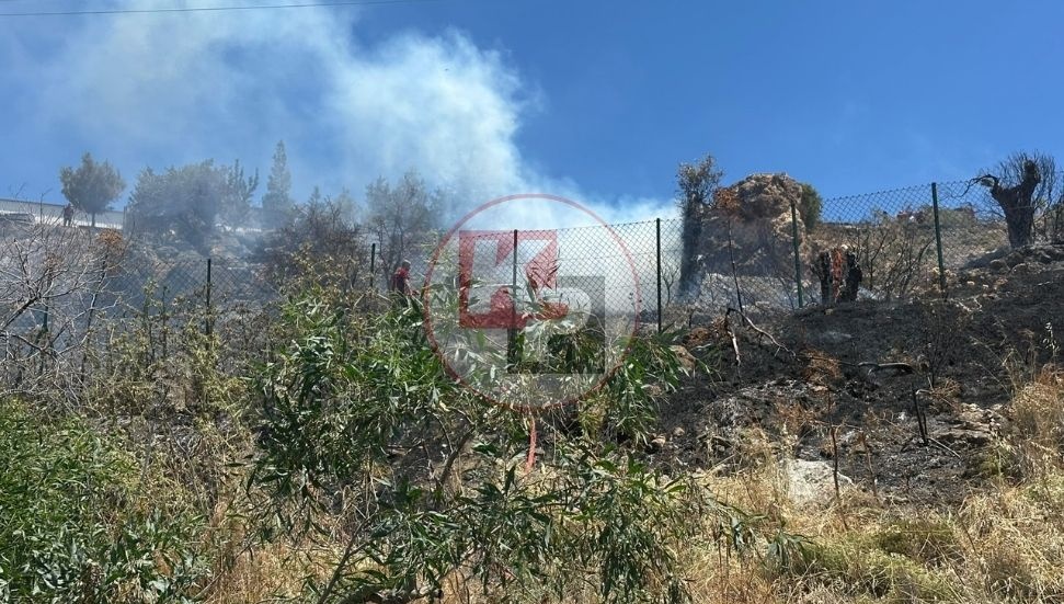 Taşkent’te çıkan yangın kontrol altına alındı: Yangının nede