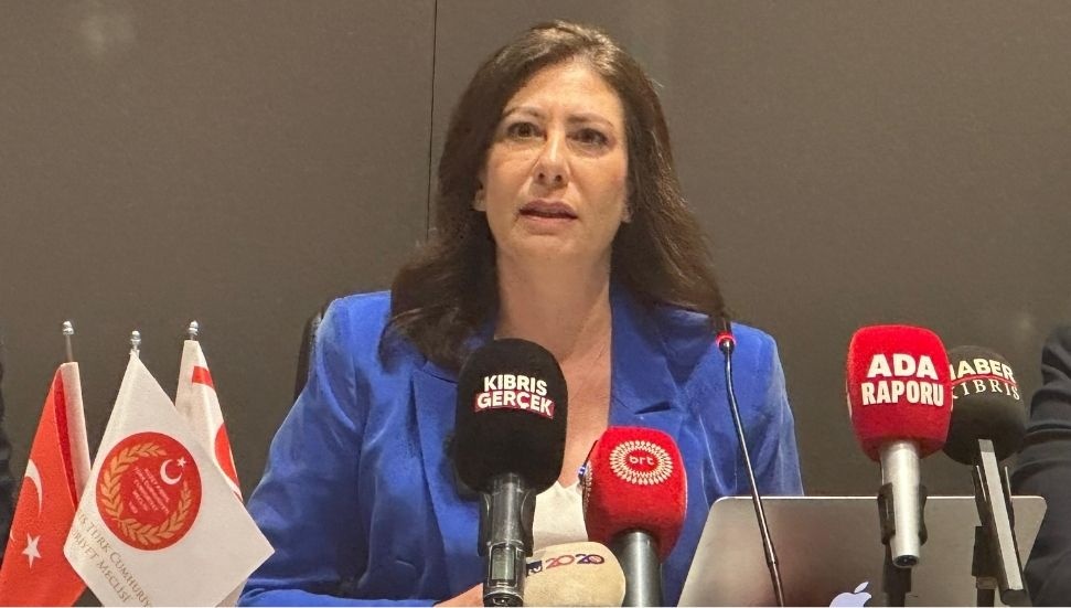 Sıla Usar İncirli: Suç işlenmeden önce riskler belirlenmeli, yapısal değişiklik yapılmalı