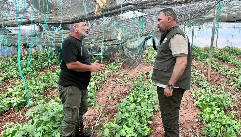 Çavuş, Güneşköy ve Aydınköy’de: Tarımsal zararlar için hasar tespiti başlıyor