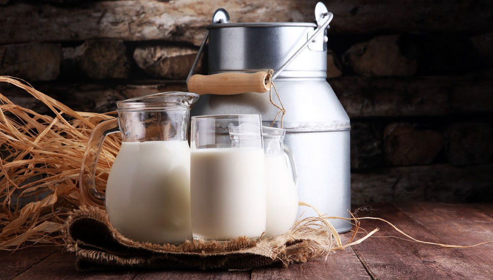 Tarım Bakanlığı, inek, koyun ve keçi sütü alım fiyatları ile devlet desteklerini artırdı