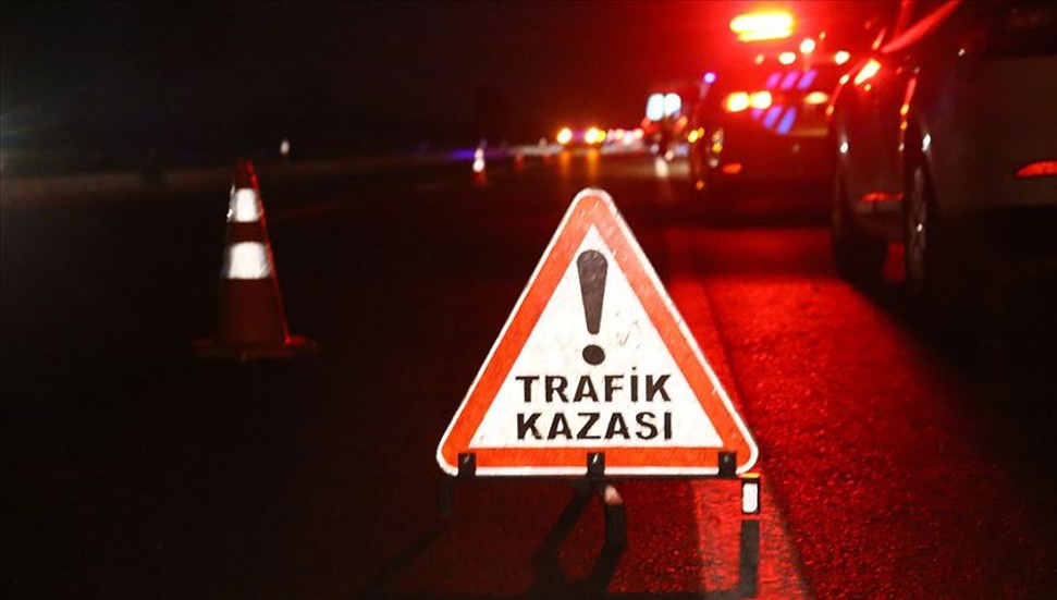 Yeşilköy-Erenköy ana yolunda kaza: Aracın çarptığı eşek telef oldu