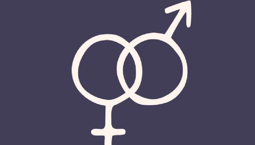 Toplumsal Cinsiyet Eşitliği Teknik Komitesi: Kadınların sesleri, tercihleri ve eylemleriyle şekillenecek