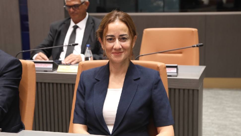 Doğuş Derya: Devletine sahip çıktığını söyleyenler, devletin anahtarını devretti