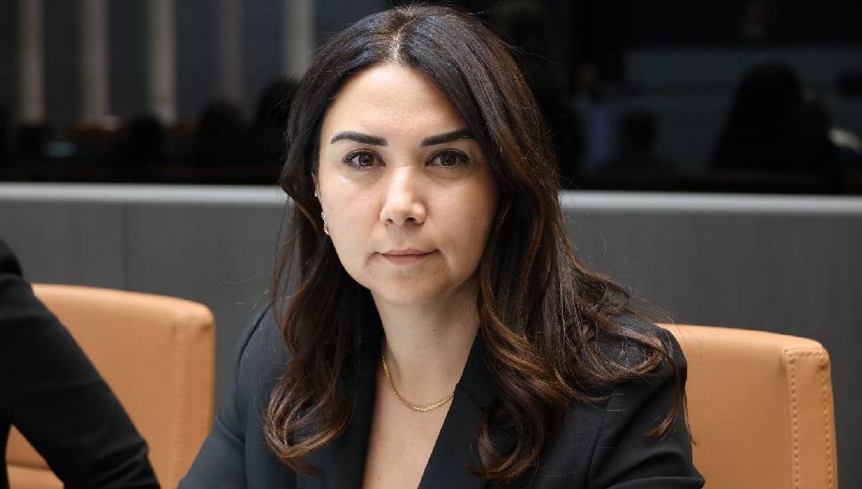 Ayşegül Baybars’tan muhaceret affı çıkışı: Turist olarak gelenleri neden affediyoruz?