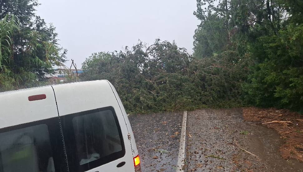 CANLI- Şiddetli fırtına ve yağış etkili oluyor: Güzelyurt-Kalkanlı yolu trafik akışına kapatıldı